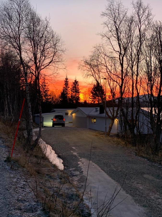 Hakoyveien 151, Tromso Otel Dış mekan fotoğraf