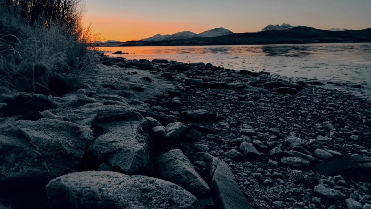 Hakoyveien 151, Tromso Otel Dış mekan fotoğraf